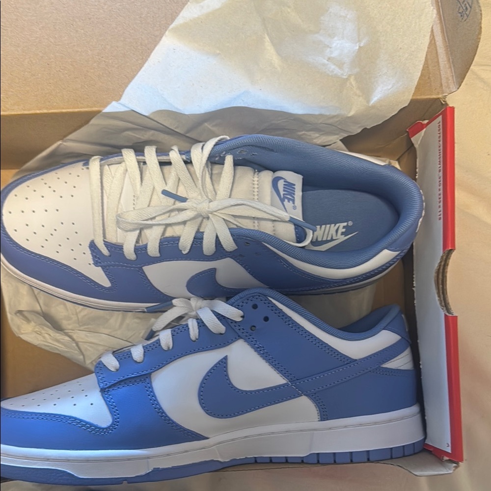 Polar blue dunks (BRAND NEW)